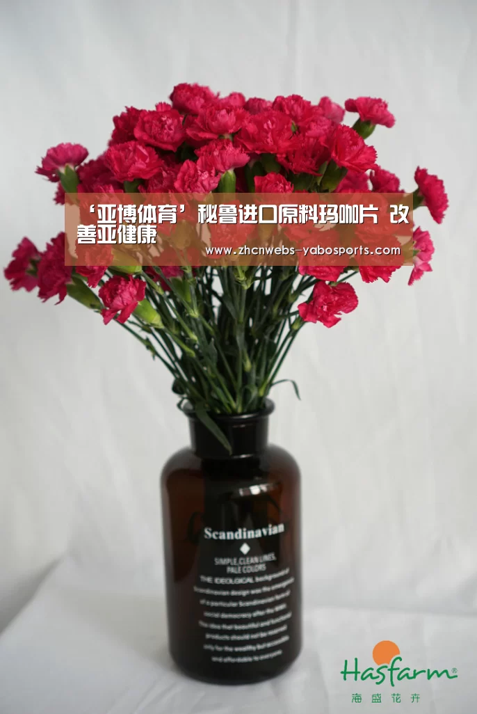 ‘亚博体育’秘鲁进口原料玛咖片 改善亚健康(图1) 亚博