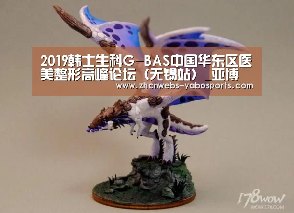2019韩士生科G-BAS中国华东区医美整形高峰论坛(无锡站)_亚博(图2) 亚博