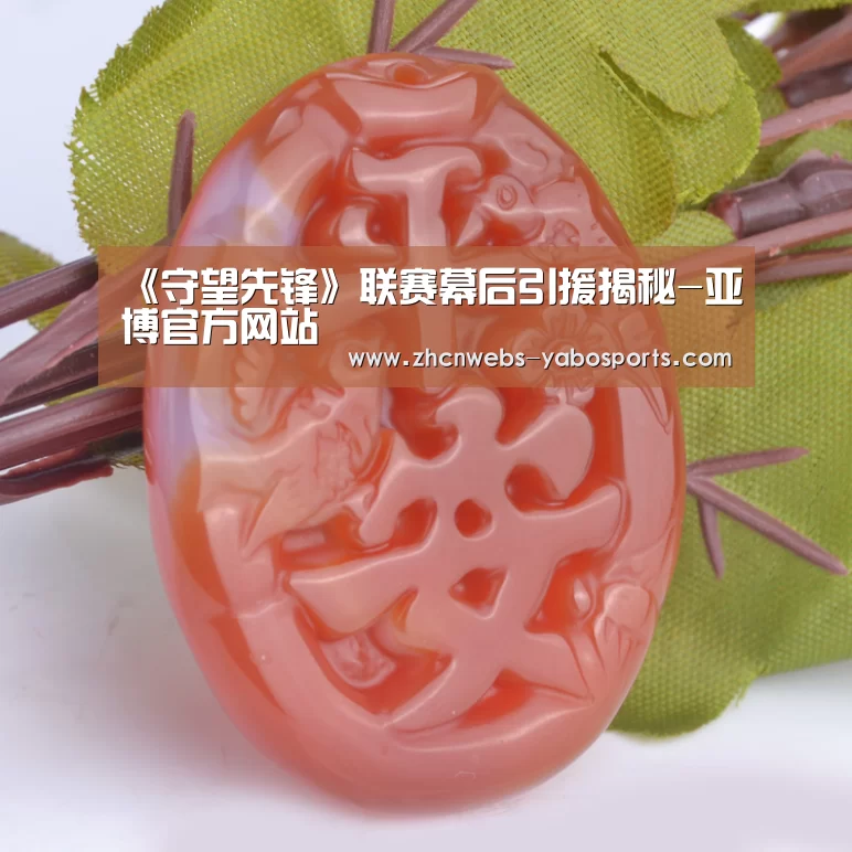 《守望先锋》联赛幕后引援揭秘-亚博官方网站(图2) 亚博
